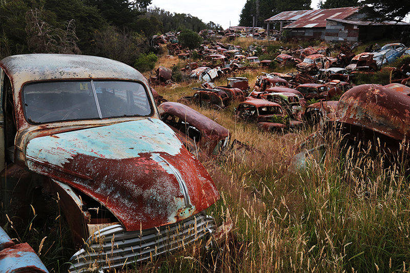 Smash Palace : Car Wreckers : Horopito : New Zealand : Richard Moore : Journalist : Photographer :